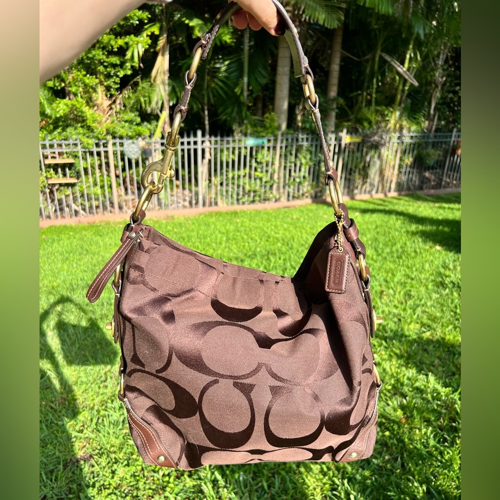 Brown Coach Signature Carly Hobo Bag